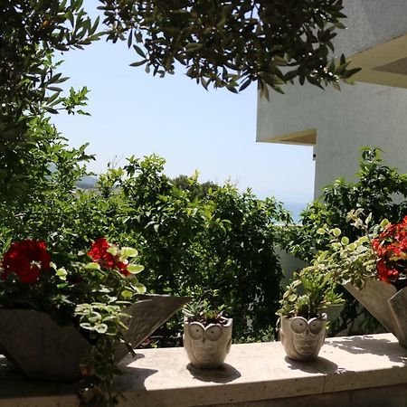Beautifull Sea View Apartment Baška Voda Dış mekan fotoğraf